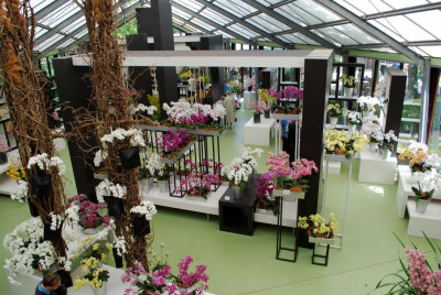 Kuekenhof042.JPG