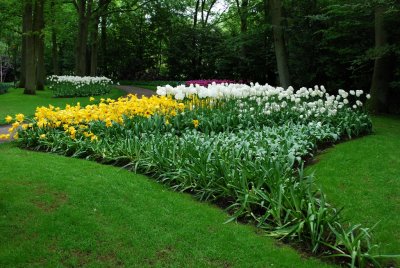 Kuekenhof067.JPG