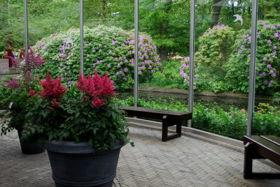 Kuekenhof107.JPG