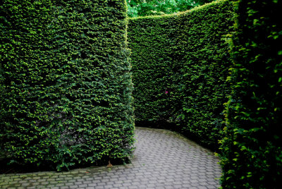 Kuekenhof208.JPG