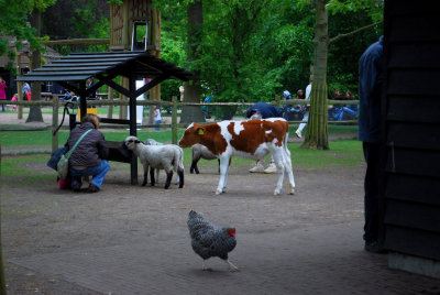 Kuekenhof215.JPG
