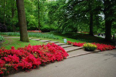 Kuekenhof263.JPG