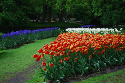 Kuekenhof273.JPG