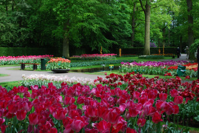 Kuekenhof295.JPG