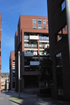 DSC_2477.jpg
