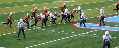 IMG_9490.jpg