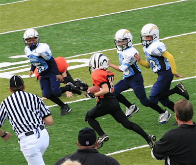 IMG_9491.jpg