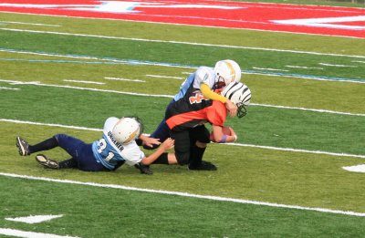 IMG_9514.jpg