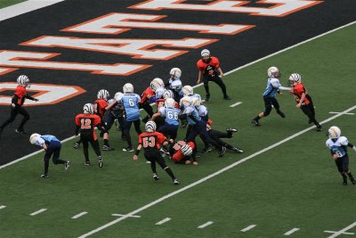IMG_9611.jpg