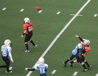 IMG_9642.jpg