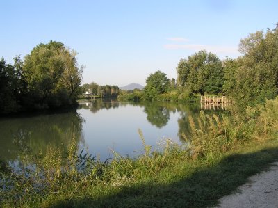 Biking from Padua to Verona