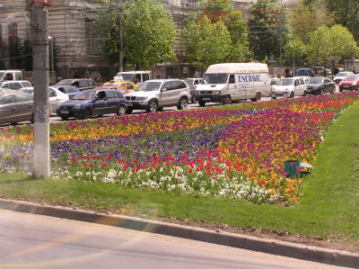 P4210120.JPG