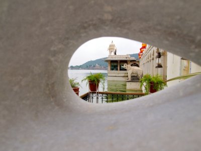 Through the trunk of the elephant
