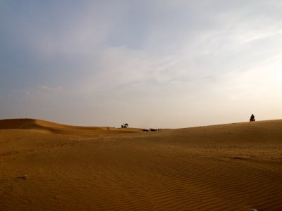 The perfect desert silhouette