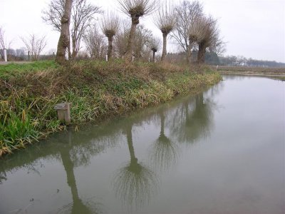 Nabij Steenovenweg Werkhoven