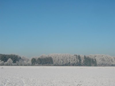 g1/78/312478/3/108028712.OKmiY6nI.jpg