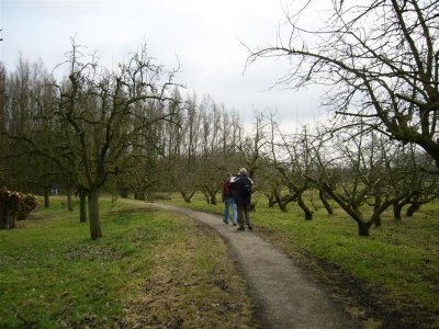 fietspad langs 'wiel van Bassa'