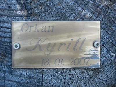 gedenkplaat orkaan Kyrill