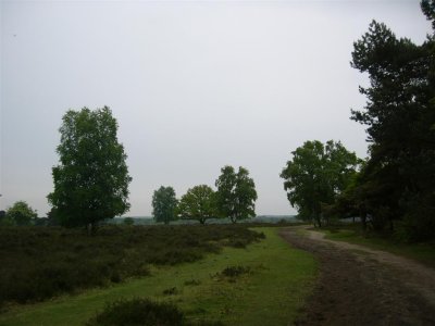 g1/78/312478/3/112072664.bkzu5efV.jpg