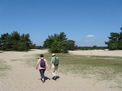 Lange Duinen bij Soest