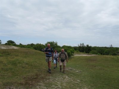 Duinen van Schouwen-Duiveland