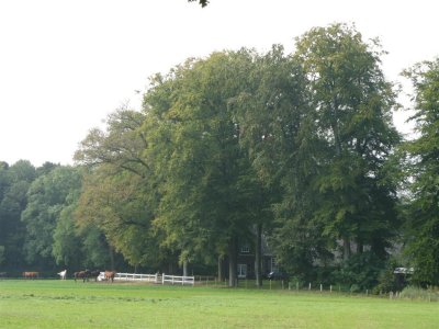 Boerderij Stofbergen