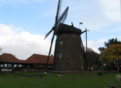 De molen op de Muhlenberg in Gildehaus (Ost - Mhle)