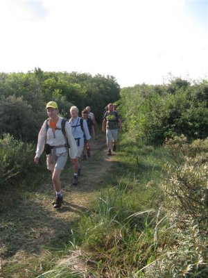 De duinen van Terschelling