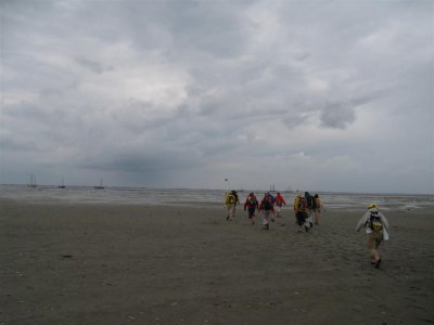 Wadlopen op Ameland