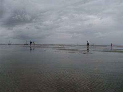 Wadlopen op Ameland