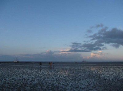 Het wad bij Schiermonnikoog