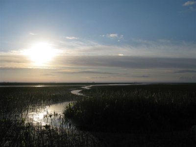 Het wad bij Schiermonnikoog