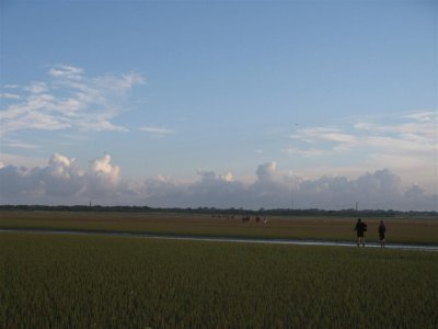 Het wad bij Schiermonnikoog