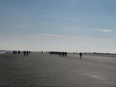 Het strand van Schiermonnikoog