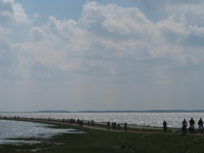 Via de veerweg naar de veerhaven van Schiermonnikoog