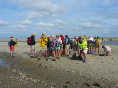 Op het strand bij de razende bol