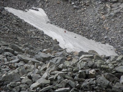 Marten in afdaling Mallnitzer Scharte naar Gieener Htte