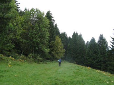 Van  Les Allies naar Le Frambourg