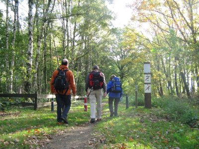 Tussen Molenbeersel en Neeritter