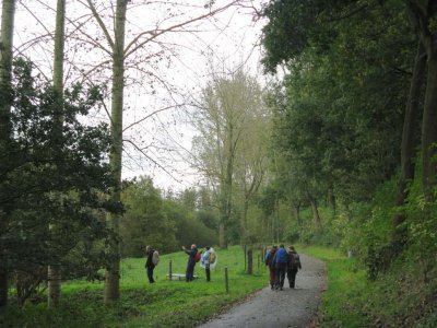 Tussen Neeritter en Thorn