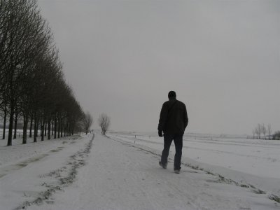 Tussen Schipluiden en Delft