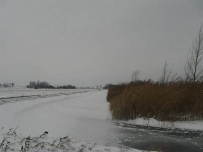 Tussen Schipluiden en Delft