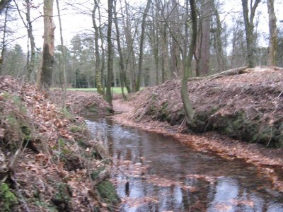 Beken Bossen Bennekom