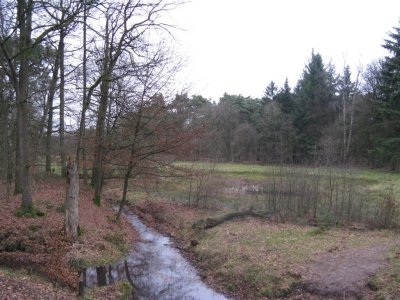 Beken Bossen Bennekom