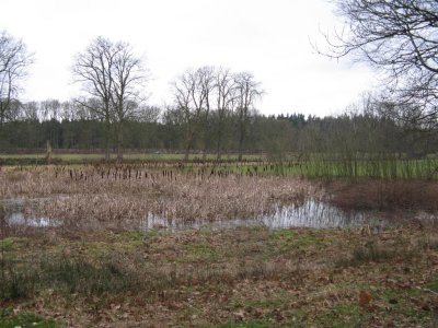 g1/78/312478/3/132311719.b3Ff8TlR.jpg