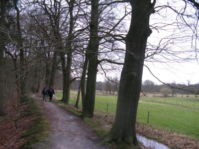 g1/78/312478/3/132311720.b3mHCMNg.jpg