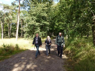 Loonse en Drunense Duinen