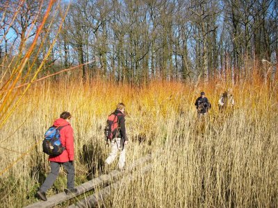 Langbroeker wetering