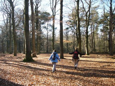 Op zoek naar pad langs de Rijksstraatweg richting Doorn