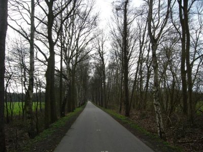 Brandrietsweg